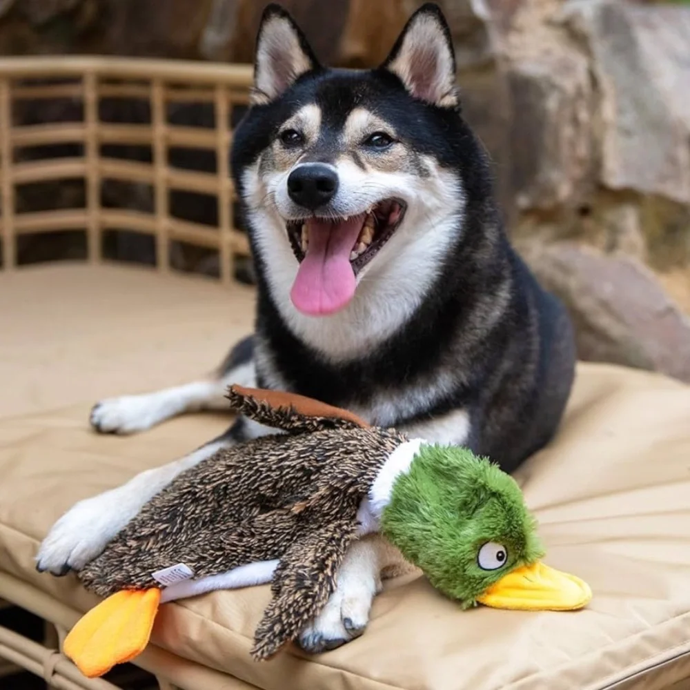 Best Pet Supplies Cute Wild DuckSkin Fillless Squeaky Toy Wild Duck Large NWT